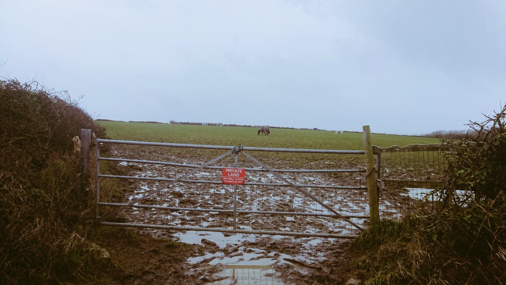 RecommonUK's tweet photo. We're open for business at https://t.co/r4wnHRqf4D looking to build diverse co-operative #housing in the countryside to live and work in nature. @LandworkersC @WalesCoOpCentre https://t.co/JuFzf2eV0c