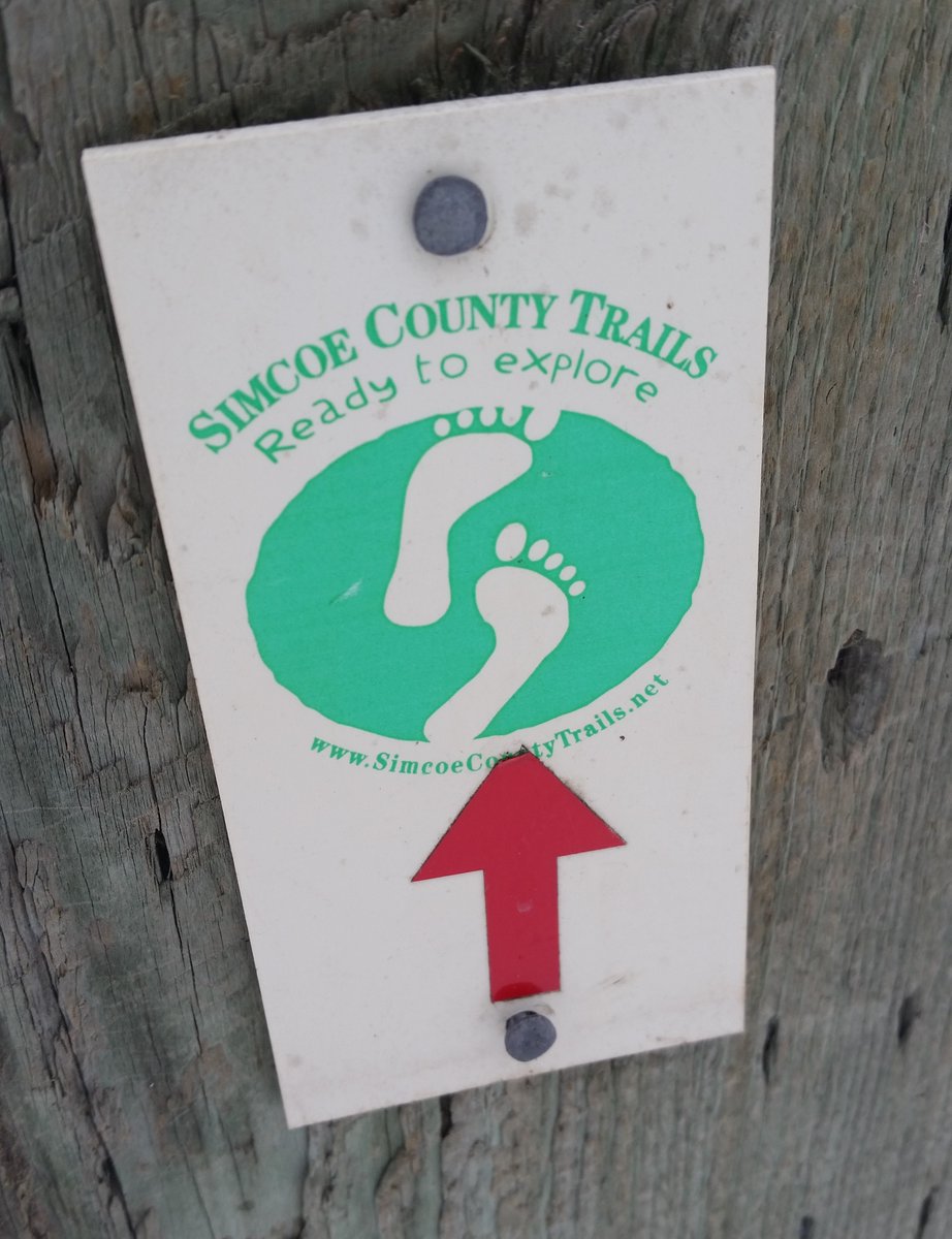 UteSchmid's tweet photo. Some of the #signs spotted and photographed during my afternoon hike at #TinyMarsh near Elmvale, ON. I can certainly LIVE within these! #SimcoeCounty #Snowflakelady #ResidentialTourist https://t.co/O5a4VCGwOS