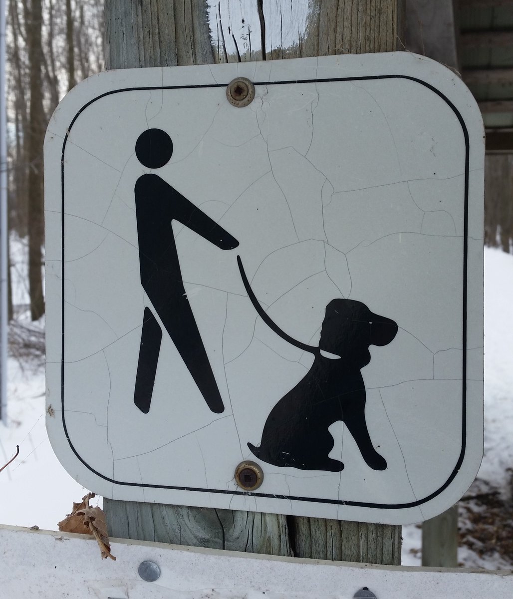 UteSchmid's tweet photo. Some of the #signs spotted and photographed during my afternoon hike at #TinyMarsh near Elmvale, ON. I can certainly LIVE within these! #SimcoeCounty #Snowflakelady #ResidentialTourist https://t.co/O5a4VCGwOS