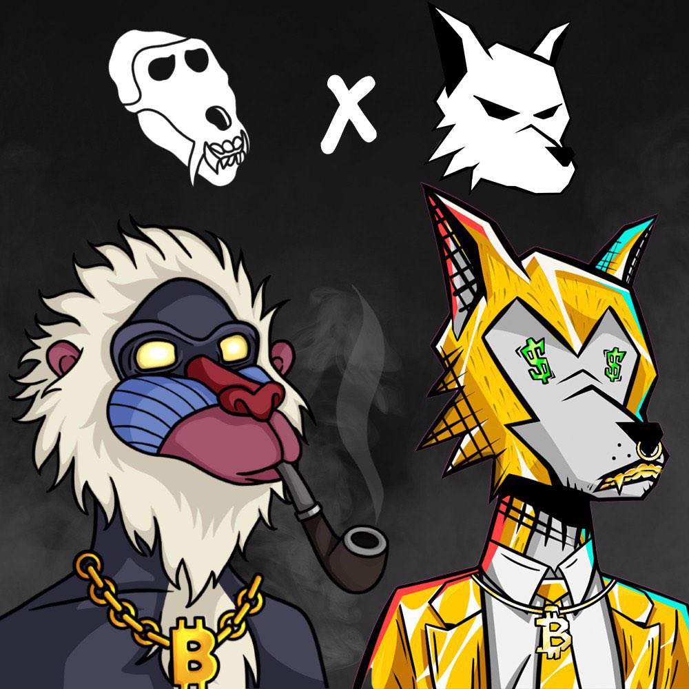 alphamandrills's tweet photo. Collab #giveaway with @DopeWolvesNFT !🦍🐺

15 WL spots for DopeWolves &amp; 3 Alpha Mandrills #NFTs up for grabs!

🔥Like/RT
🔥Follow @alphamandrills and @DopeWolvesNFT 
🔥Join our Discords:
https://t.co/ZjfHu3GTk5
https://t.co/PDscP9tS0S
🔥Tag friends below

#OasisNetwork $rose https://t.co/ATDNpFXtZK