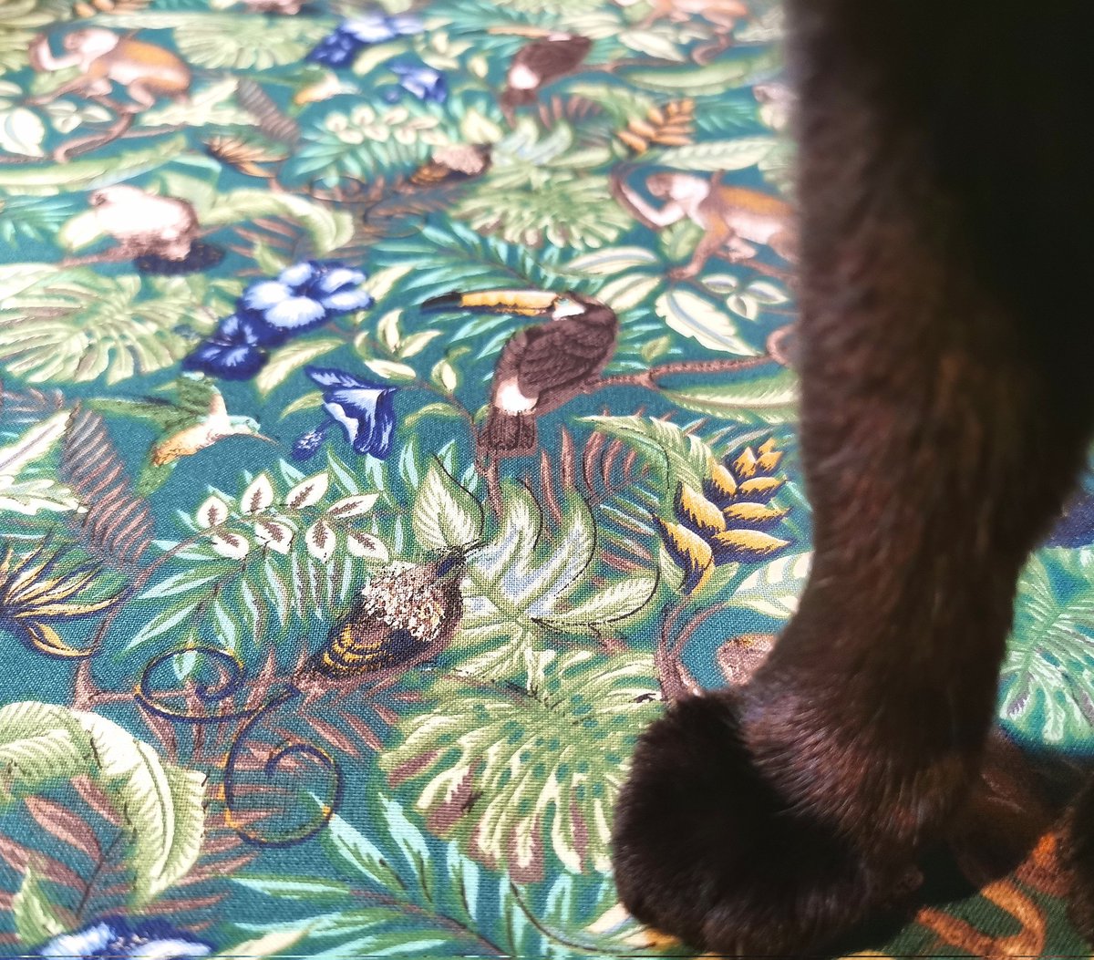 acraftycow's tweet photo. I've used this tropical design fabric before... But just found it in miniature!#TinyThings #Squeeeeeeeeee Banksy paw for scale https://t.co/ld8ouErri5