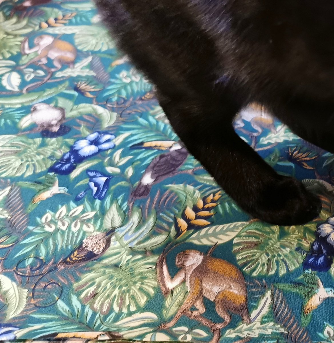 acraftycow's tweet photo. I've used this tropical design fabric before... But just found it in miniature!#TinyThings #Squeeeeeeeeee Banksy paw for scale https://t.co/ld8ouErri5