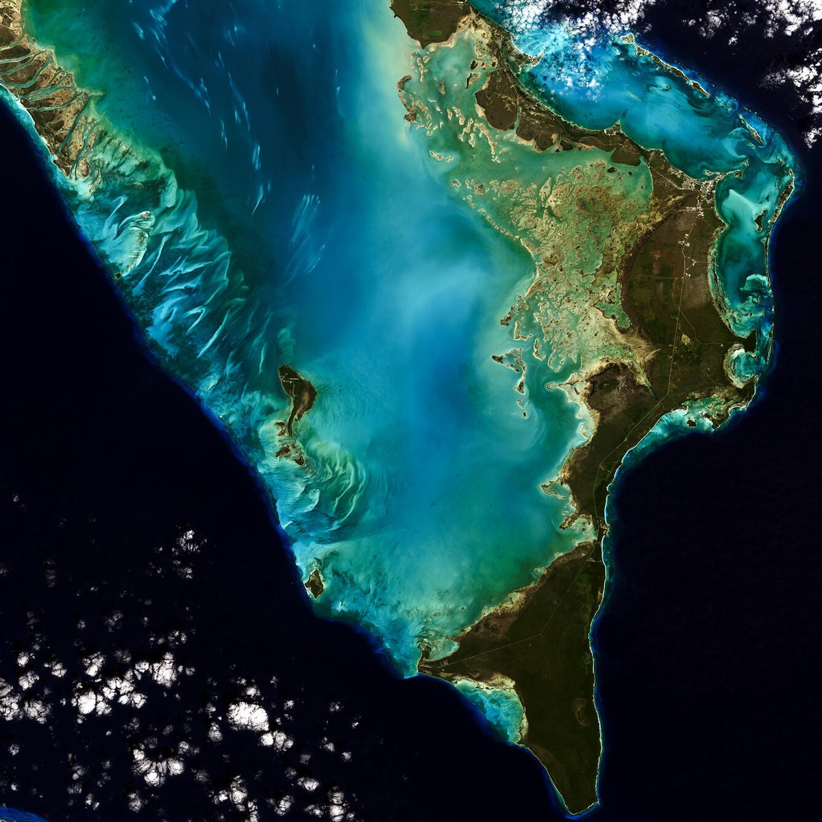USGS EROS (@usgs_eros) on Twitter photo Now available: <a href="/USGSLandsat/">USGS Landsat</a> 9 data!
Read the headline - Landsat 9 Data Release Extends Unparalleled Earth Observation Archive: ow.ly/jl8r50HRZQ3
Get the imagery: ow.ly/CaeT50HRZRN Now available: <a href="/USGSLandsat/">USGS Landsat</a> 9 data!
Read the headline - Landsat 9 Data Release Extends Unparalleled Earth Observation Archive: ow.ly/jl8r50HRZQ3
Get the imagery: ow.ly/CaeT50HRZRN