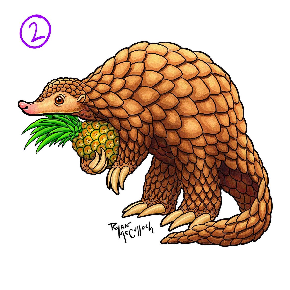 Studio1018's tweet image. VOTE FOR YOUR FAVORITE

Thanks to the hundreds of you who sent in your suggestions of what this pangolin should be holding! I narrowed it down to the top 3 suggestions to illustrate. Let me know which one you like the best!!!

#pangolin #pangolins #pangolinart