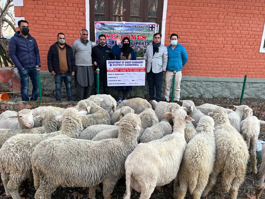 Sheep Husbandry Department Ganderbal on Twitter: Sheep Husbandry Department Ganderbal on Twitter: