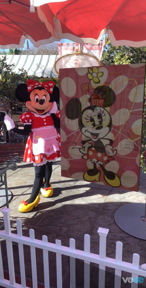 PEOStrategy's tweet image. ⁦@veve_official⁩ Disneyland!!!