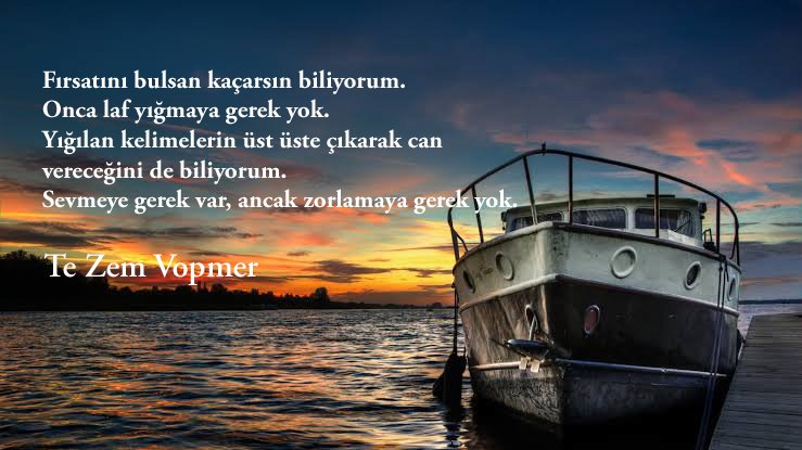 🔹 Love is needed, but there is no need to force it.