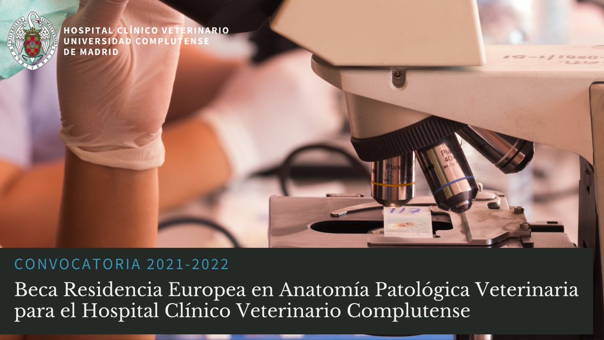 HCVeterinarioUCM tweet media