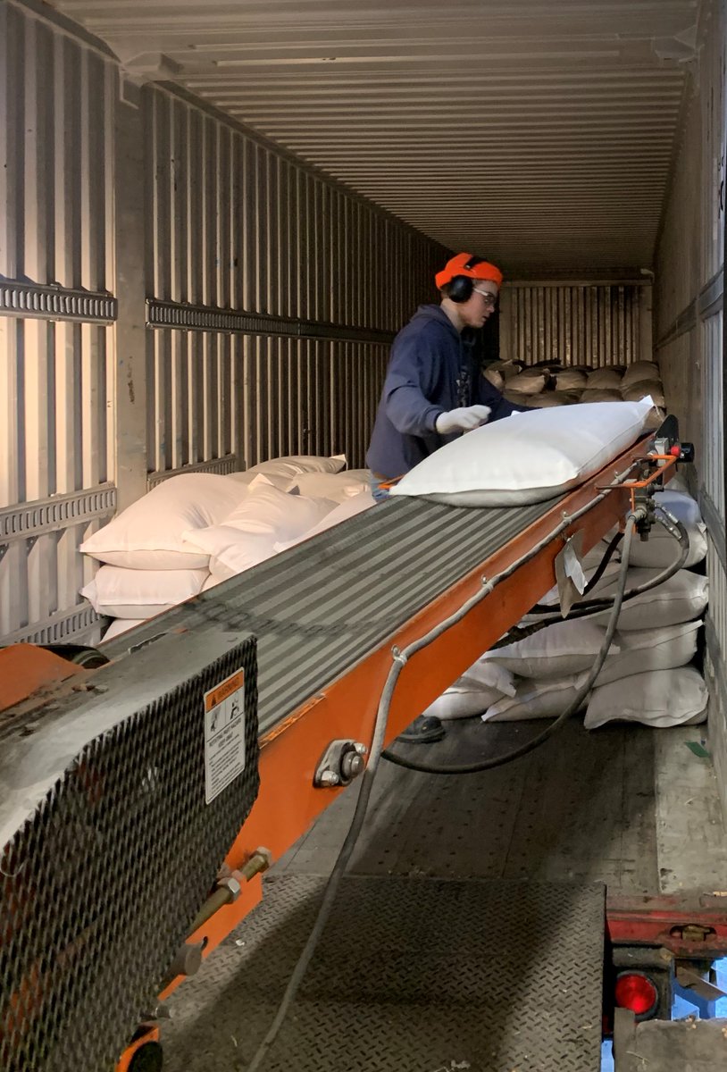 McDougallAcres's tweet photo. @McDougallAcres shipping chickpeas to Egypt today. Chickpeas are the main ingredient in Mediterranean and Middle Eastern cuisines. It is used for hummus, falafel, or making delicious koshari dish.
#pulseexport #saskgrown @SaskPulse https://t.co/P4TADzChIQ