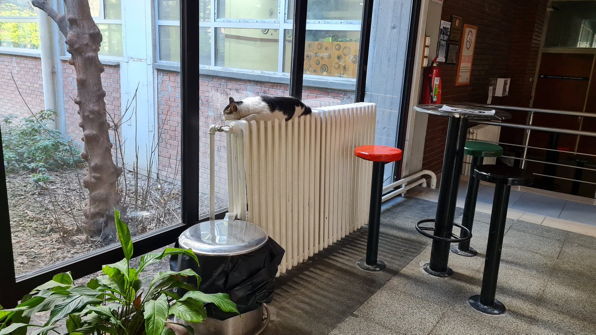 Sınavlarda elimden geleni miyavladım... 2018'den beri mezun olamadım şu bölümden, ama az kaldı.  biraz şurda sıcacık uyuyayım... (bölümümüzün manyak kedisi) <a href="/ODTUInsaat/">METU Civil Eng.</a>