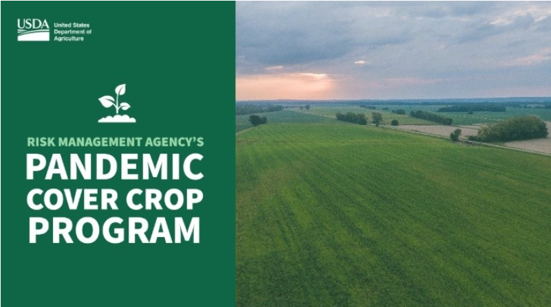 usdaRMA's tweet photo. If you have coverage under most #cropinsurance policies and planted cover crops during the 2022 crop year, you are eligible for a premium benefit from the @USDA’s Pandemic Cover Crop Program. Report your cover crop acreage by March 15. https://t.co/3omj71LbO8 https://t.co/ivR08mxfgH