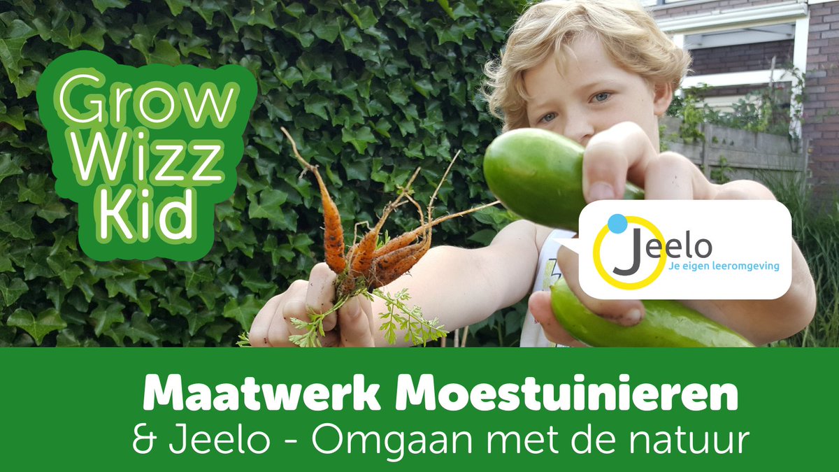 Werkt jouw school met @Jeelo?
🥕🥗Maatwerk #Moestuinieren past o.a. uitstekend binnen project 𝐎𝐦𝐠𝐚𝐚𝐧 𝐦𝐞𝐭 𝐝𝐞 𝐧𝐚𝐭𝐮𝐮𝐫.
Ga naar growwizzkid.nl/moestuinprojec… Bestel snel: we starten al in maart! Er is een beperkt aantal pakketten beschikbaar.Op=Op!
#natuur #voedseleducatie