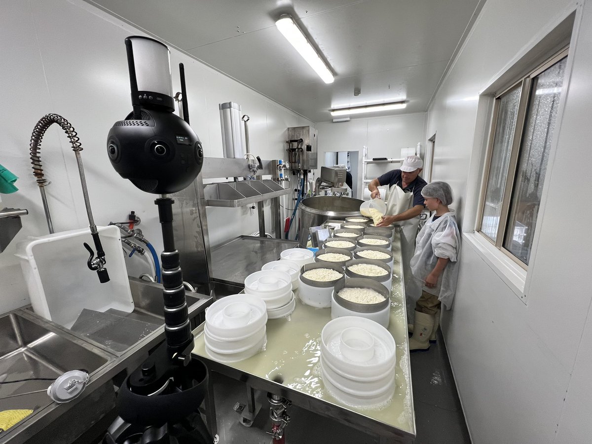 Homeschooling does have its perks! Like joining dad on the set for the day to learn how cheese is made 🥰 🧀🥛<a href="/Dairy_Australia/">Dairy Australia</a> <a href="/ThinkDigitalXR/">Think Digital Studios</a> <a href="/s28Cheeses/">Section28 Cheese</a> #virtualreality #farmvr #ausdairy #milk #cheese #VR