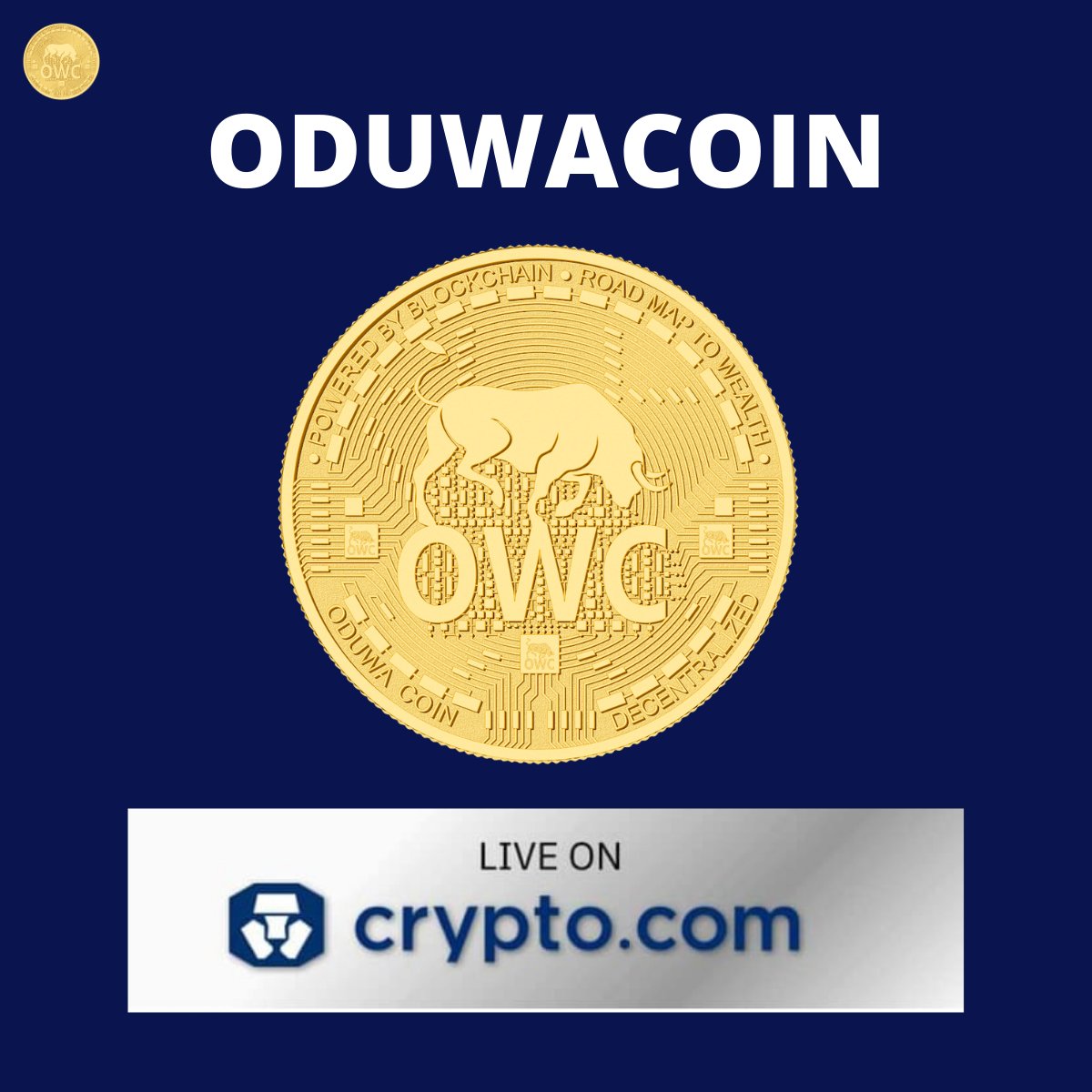 ODUWA BLOCKCHAIN SOLUTIONS tweet media