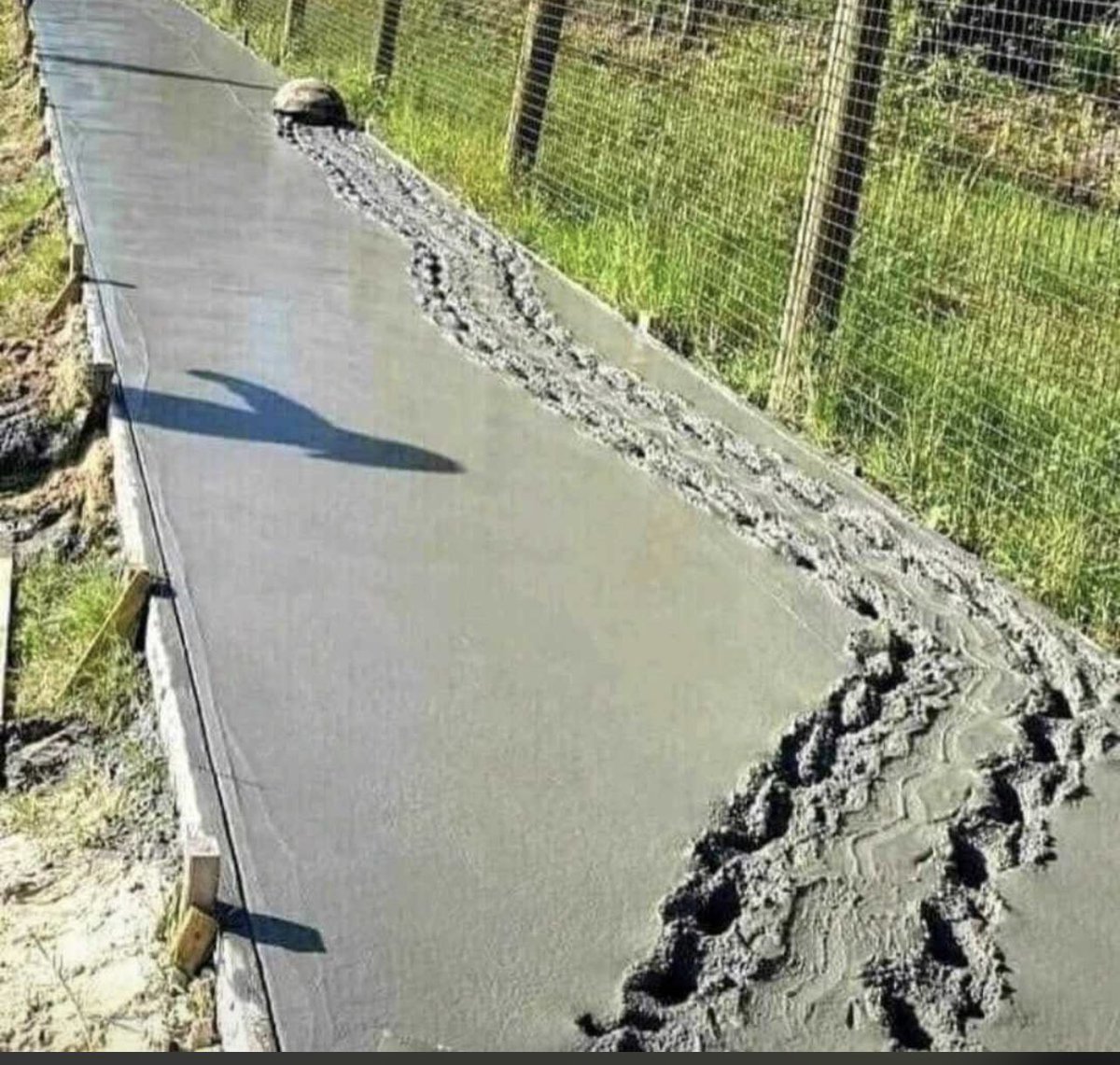 No matter how slow you go, the important thing is to leave your mark Motase 🙌🏻 ❤️ keep going…

Thokozani 👏👏👏