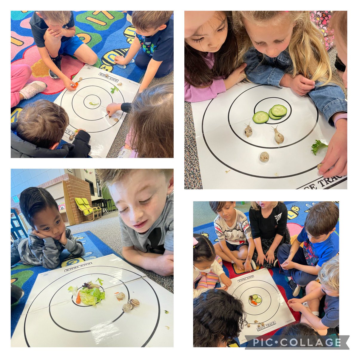 LindseyDeneau's tweet photo. 🐌 Races are always fun in Kindergarten!! We had a fun day watching our 🐌 🐌🐌🐌 race! @LISDElemScience #Parksidedreamteam #writinginscience https://t.co/qPwt5X8D1r