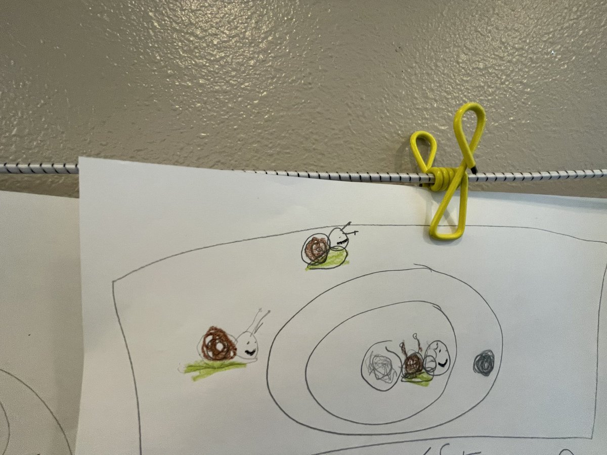 LindseyDeneau's tweet photo. 🐌 Races are always fun in Kindergarten!! We had a fun day watching our 🐌 🐌🐌🐌 race! @LISDElemScience #Parksidedreamteam #writinginscience https://t.co/qPwt5X8D1r