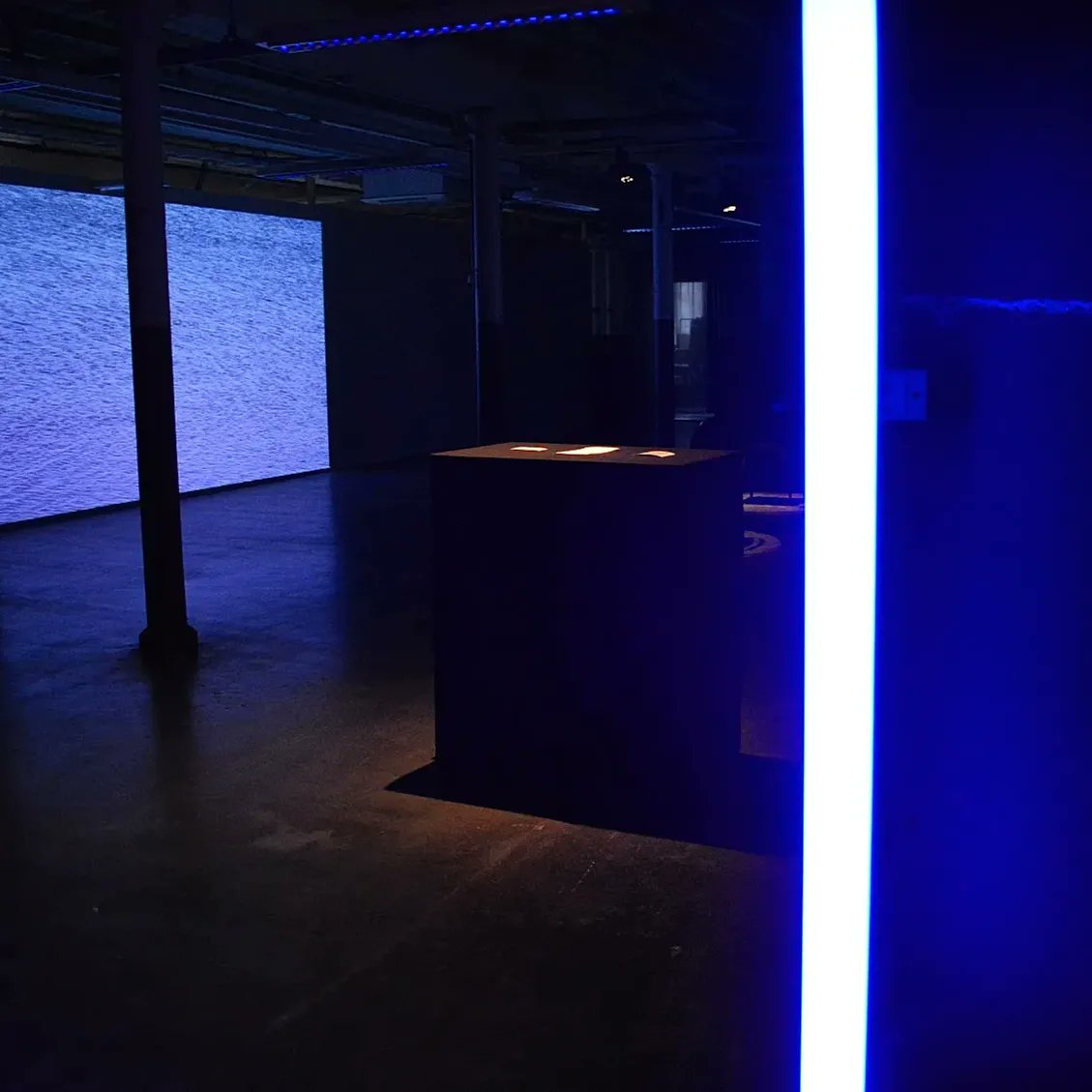 The art exhibition, Aerial Roots. Visual creator Luiza Preda and sonic artist, Allan Castellanos have created a promising experience for Tampere’s local community at Himmelblau Gallery in Finlayson for this February (4.2.22-20.2.22).