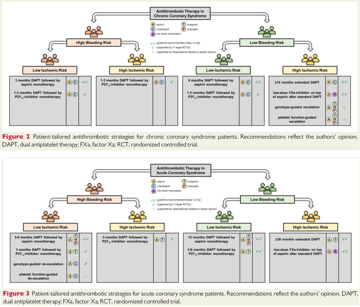 jovens_conselho's tweet photo. SAPT, DAPT or DPI, and for how long? – #CJCselected this review about the best antithrombotic regimen for your patient. https://t.co/OlJk8lSXte #CJCardio https://t.co/YachhOblQv