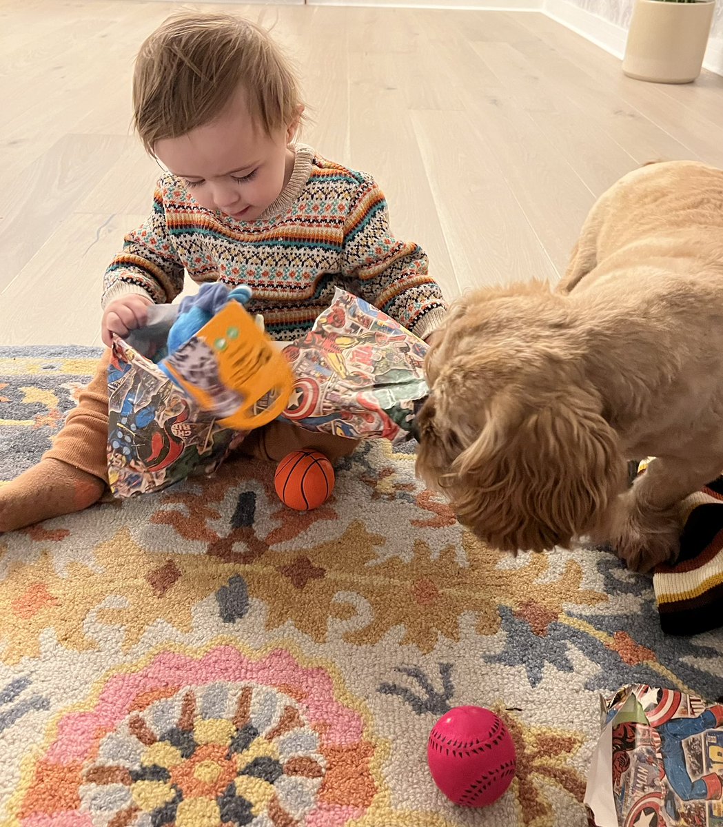 Happy 4th birthday to our beautiful fur baby Fred ♥️
Also thank you to Teddy for helping unwrap the presents 🤣♥️