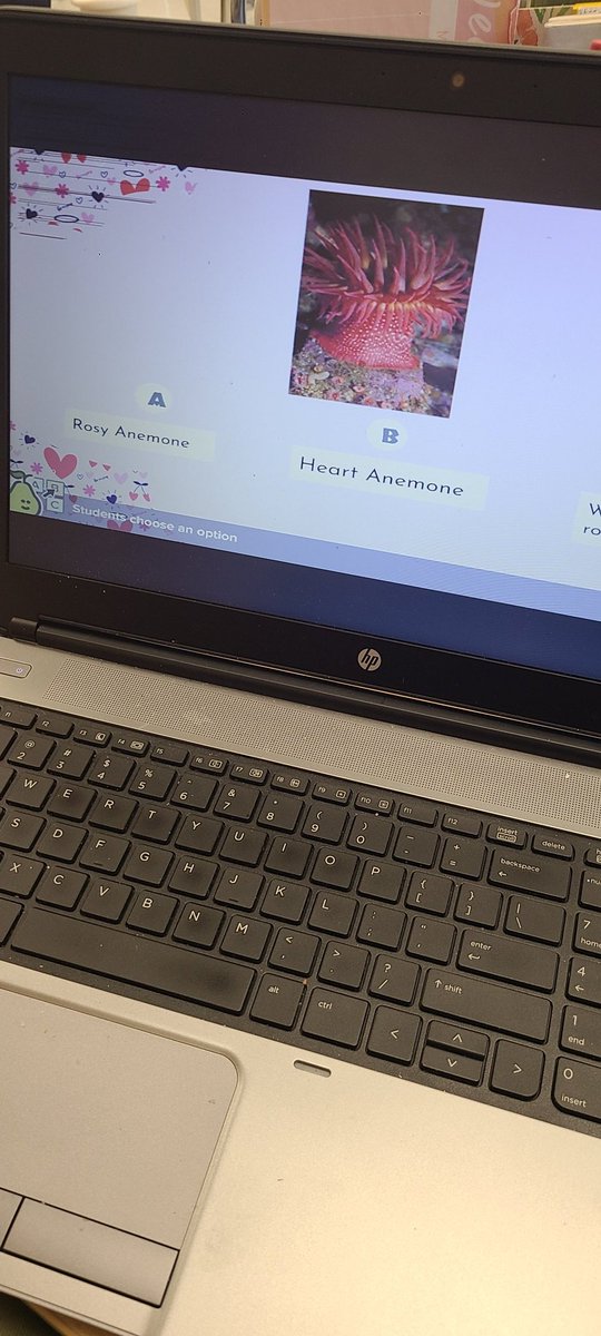 Ms. Houtz tweet media