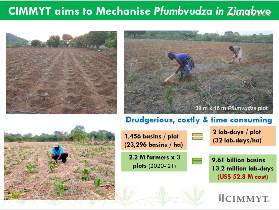 MatinCIMMYT's tweet photo. Under the #ACIARAustralia funded HAFIZ project #CIMMYT-Zimbabwe has partnered with #ZIMPLOW to design & develop a basin digger to mechanise #pfumvudza. Pfumvudza is a climate smart CA technology, but it's wide adoption is currently limited due to drudgery involved.
#@MoLAFWRR_Zim https://t.co/AM0rI1bGh1