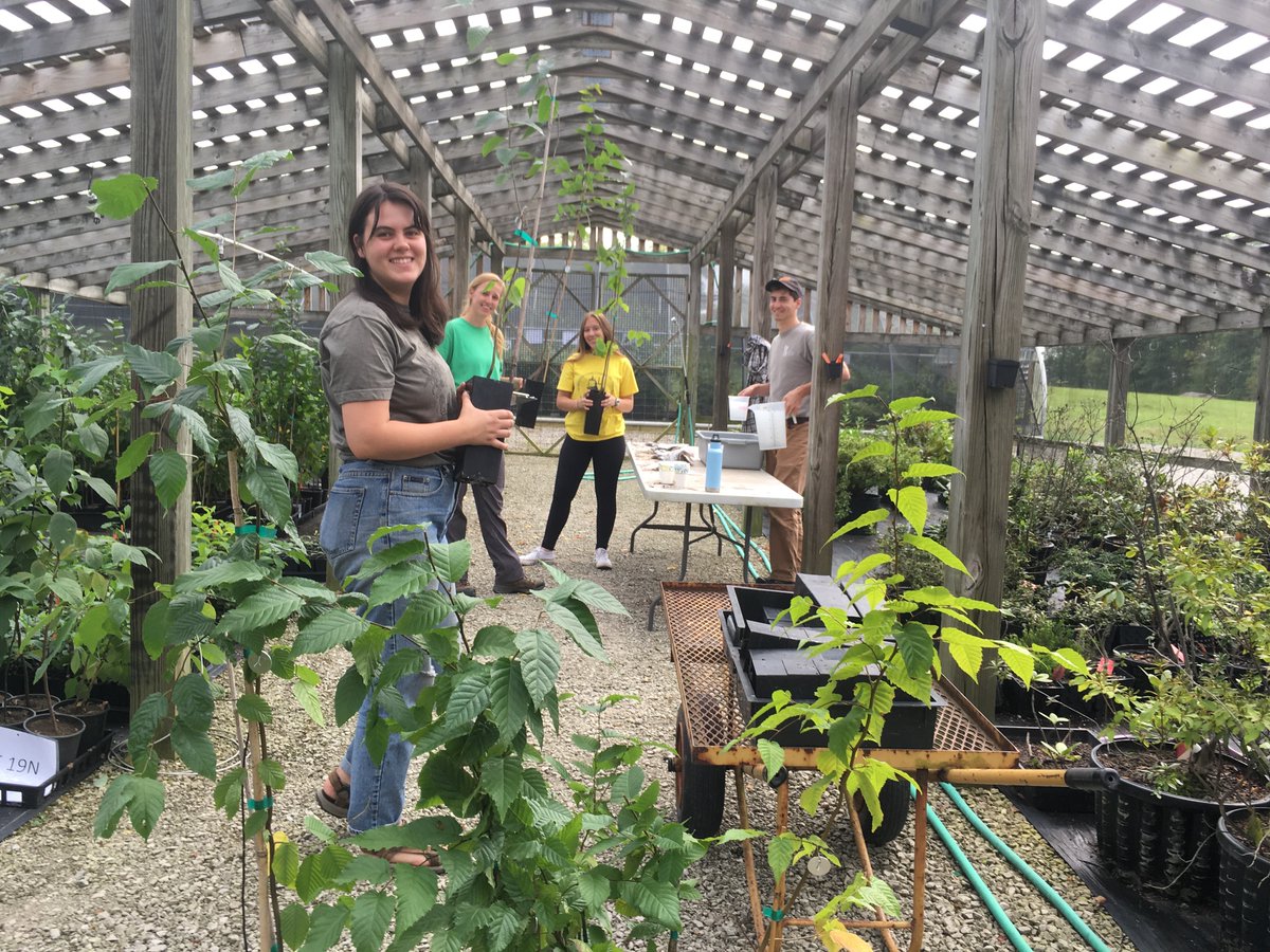 Paid summer research internships @holdenarboretum! Undergrads and recent grads - Love plants? Soil microbes? Field ecology? Ecological restoration? Join us this summer! 
holdenfg.org/career-and-int…