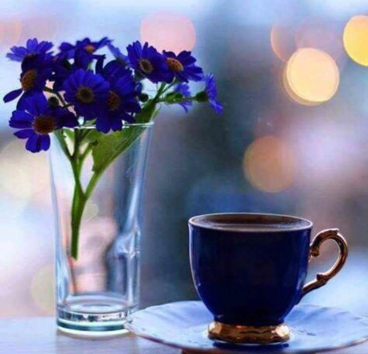 Доброе утро или вечер. Доброе утро рассвет. Доброе утро или вечер. Утро, день, вечер, ночь. Доброе утро или вечер.