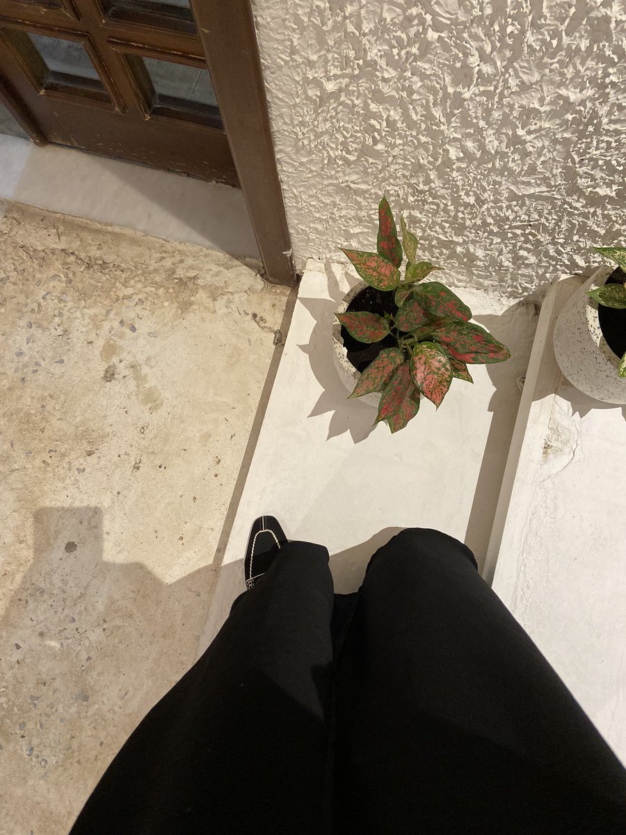 Iso3admb's tweet photo. ضوضاء و هدوء  🌿 https://t.co/4sFngUvL42
