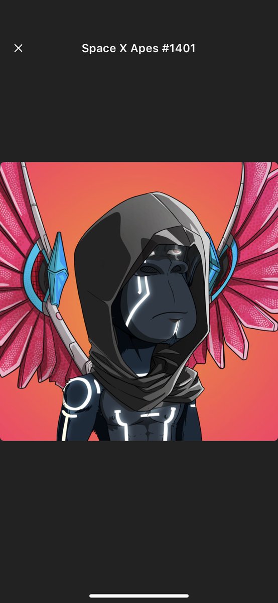 tthhee9's tweet photo. @RaritySniperNFT @SpaceXApes Wings Gang 🅿️ https://t.co/1dXbSqm3hs