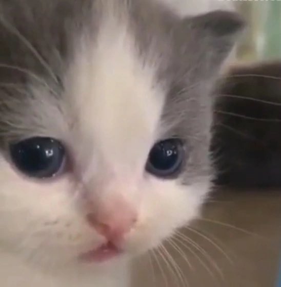 fell asleep as usual while watching a movie 🥲 https://t.co/uwWG43gKEK<a href="/tag/eyes"class="tags"><span>#eyes</span></a><a href="/tag/demon"class="tags"><span>#demon</span></a>