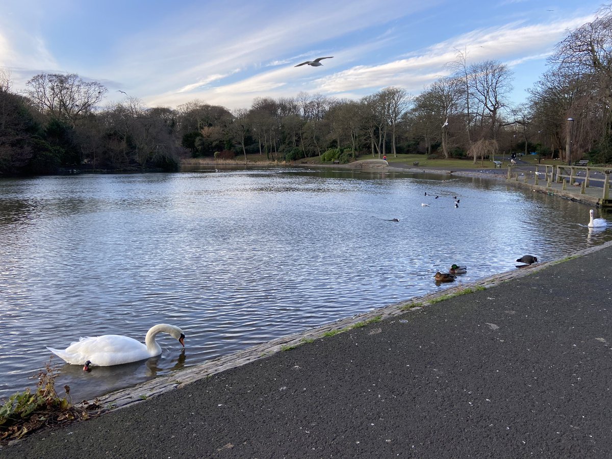 DrBalsamAhmad's tweet photo. #LeazesPark #NewcastleUponTyne #OneYearApart #LifeJourneys #Hospital then 2021
Now #WorkCommutes
#GreenSpace #Nature #Wellbeing #TakeNotice #SpringIsComing https://t.co/5pPTZU4Mlw