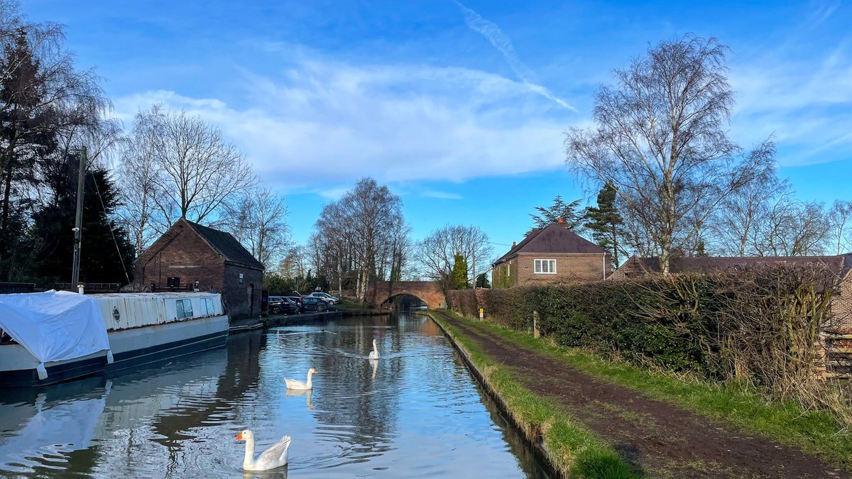 This mornings view out the bow windows #canalphotography #nbwilltry #coventrycanal ⁦@CRTBoating⁩ ⁦@CRTWestMidlands⁩ ⁦