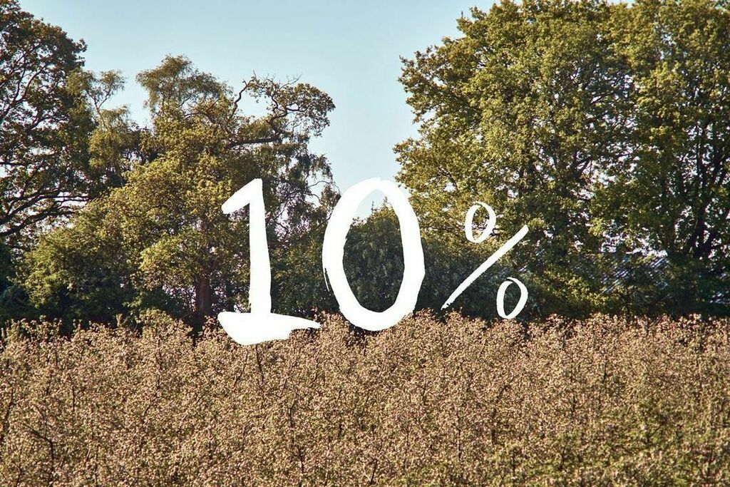 A Spring Discount!!! To celebrate that most wonderful sight - this first signs of Spring; stronger longer light, &amp; the daffodils &amp; crocuses beginning to break through - for the next few days only, to mark this moment, we are giving you a 10% discount on … ift.tt/OavkPx0
