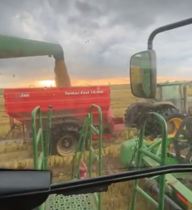 🌾🇵🇾🍲 Let’s roll. Rice harvest season 2022 #RICE #farmersworld