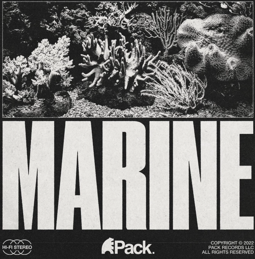 packrecs's tweet photo. New Pack mood playlists now on Spotify:

NOCTURNAL 
MARINE
GRASSLANDS
&amp; more

Explore: https://t.co/7zyWOSJlWC https://t.co/egOcZNJurO