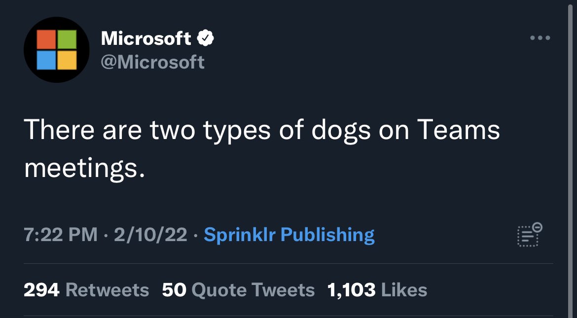 LucieSHIB's tweet photo. Oh, what @Microsoft is trying to tell  us 😌🐕🐕 #SHIBARMY https://t.co/iBxpiNYakW