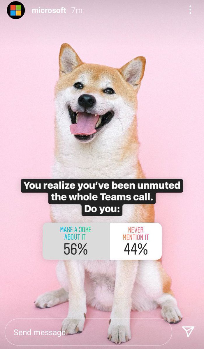 LucieSHIB's tweet photo. Oh, what @Microsoft is trying to tell  us 😌🐕🐕 #SHIBARMY https://t.co/iBxpiNYakW