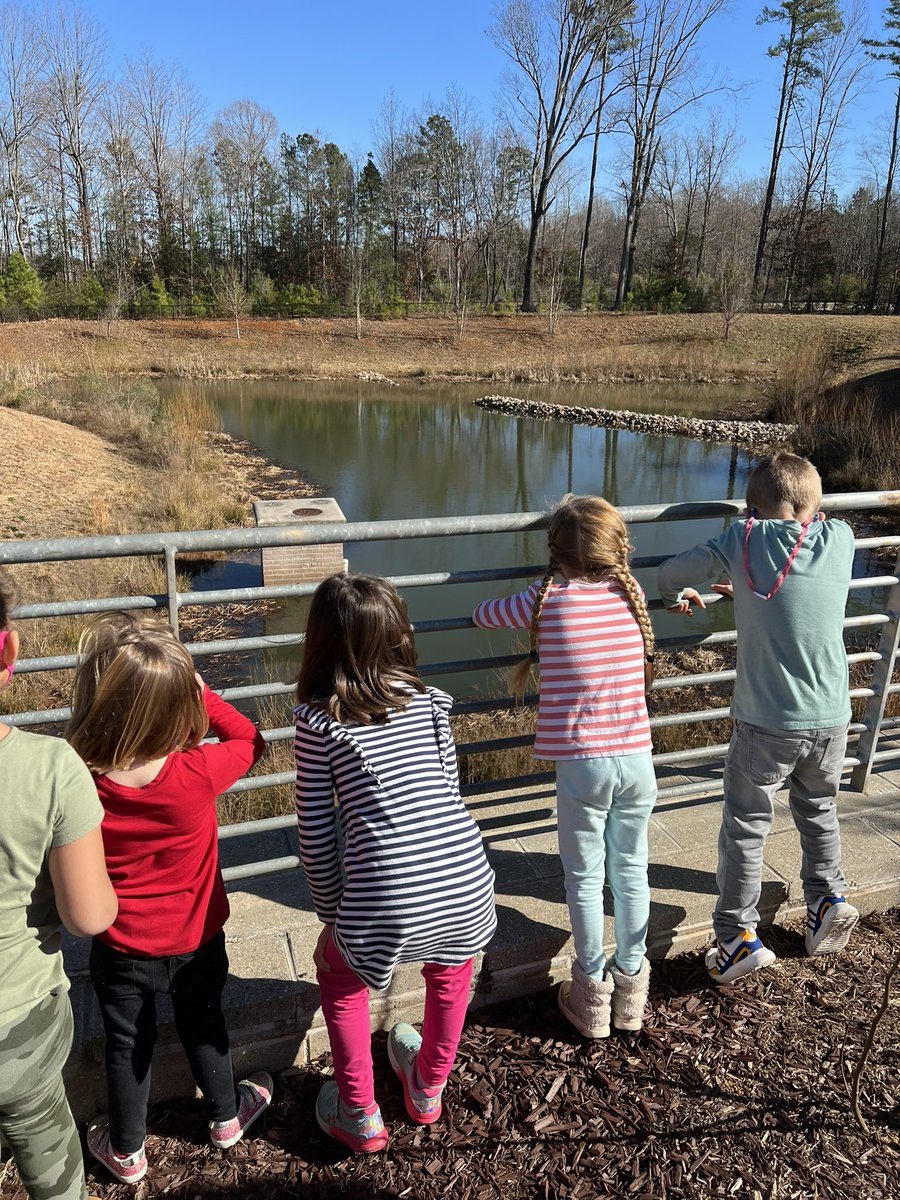 Outside explorations observing the pond! We saw a #turtle awake from their #brumation ! #authenticlearning #observationSkills #futurescientists #placedbasedlearning #greenspaces #EveryChildNeedsNature