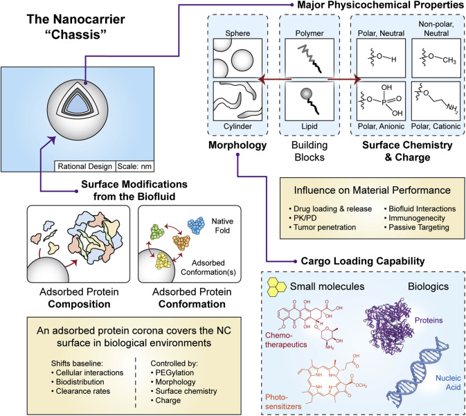 Cancer_Cell's tweet photo. Online Now: Leveraging self-assembled nanobiomaterials for improved cancer immunotherapy https://t.co/nnvFItZeBl https://t.co/4SeIrG8ssK