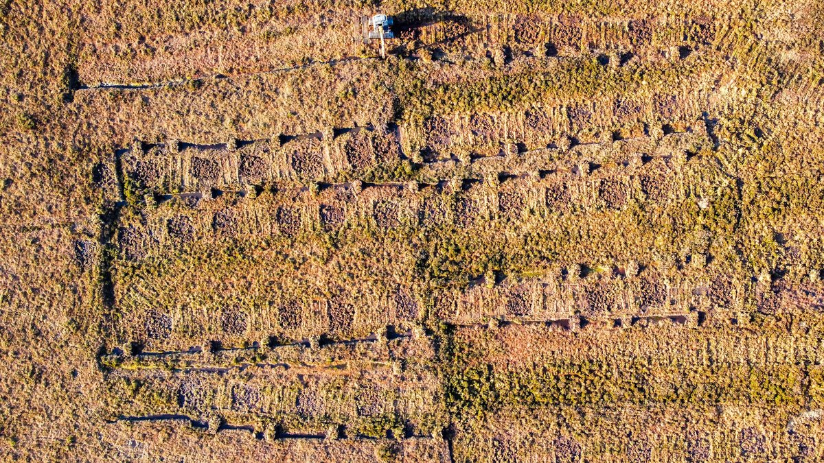 SimonGray14's tweet photo. Each time we do this work I realise that every bog is different, every drain is different, every dam is different! Moneygal suffered a huge bog burst over 100yrs ago making it even more complex! ⁦@UlsterWildlife⁩ ⁦@theCANNproject⁩ #moneygal #bog #peatlands https://t.co/2y2FmpBBmS
