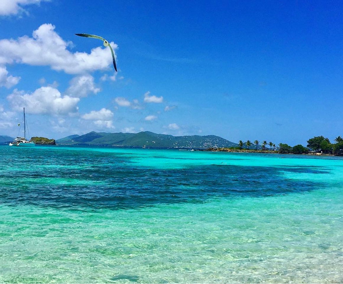 KTravelsource's tweet image. Discover Sapphire: Beach Front View, courtesy of IG: megbrantley #SapphireBeach #Paradise #Getaway #Stthomas #STT #SaintThomas #USVI