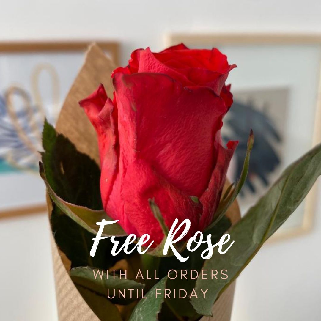 Let's share the love this #ValentinesDay We are gifting a free long-stem rose with all orders from our Valentine's Day Collection. Hurry - ends Friday! 
abstracthouse.com/pages/valentin… #Vday #valentinesday #2022