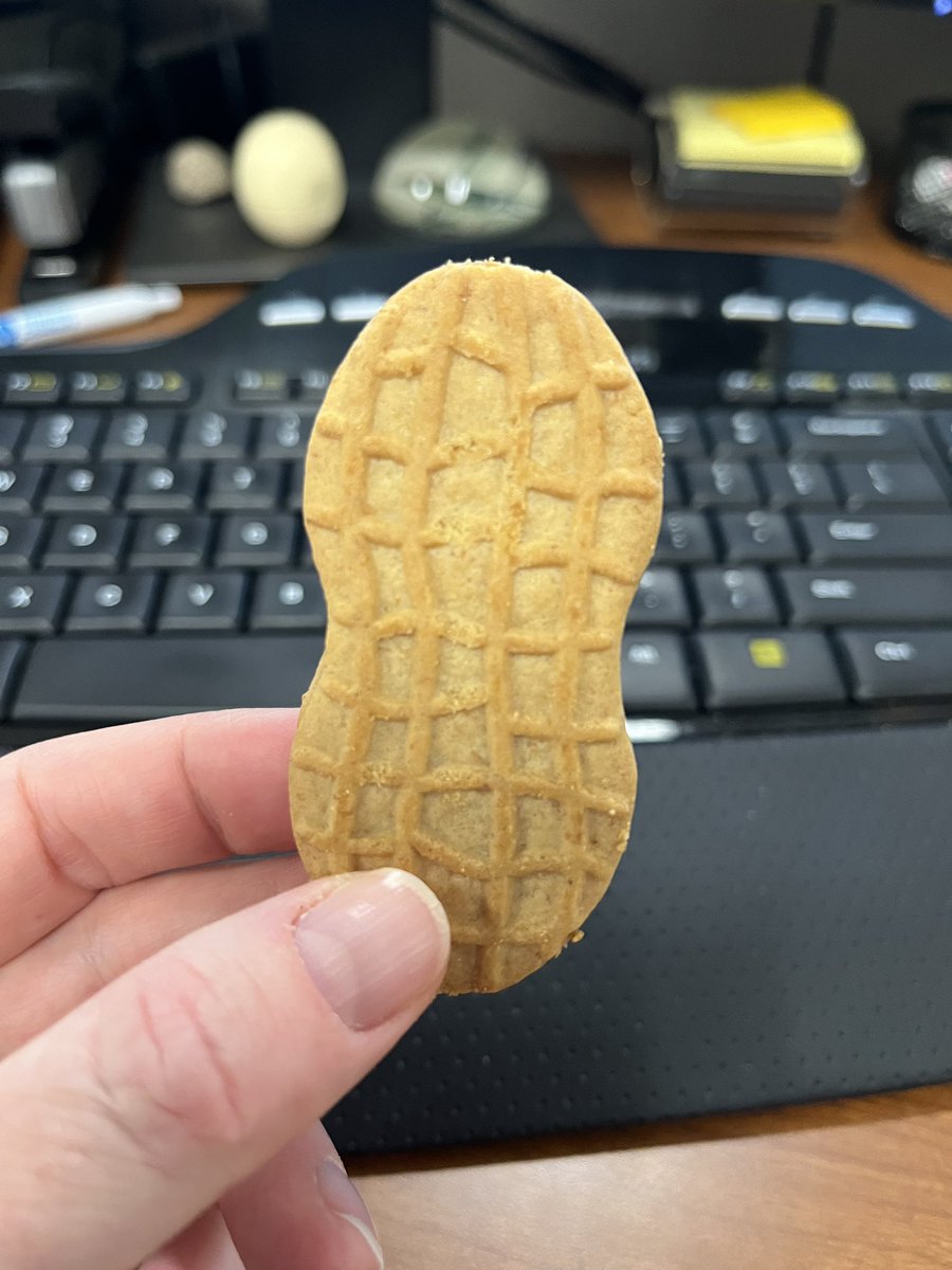 DLCollierLR's tweet photo. My boss donated blood today and then donated two #nutterbutters to me. Best cookie ever. @archildrens @Dr_Rick_Barr https://t.co/bTAWl0mNos
