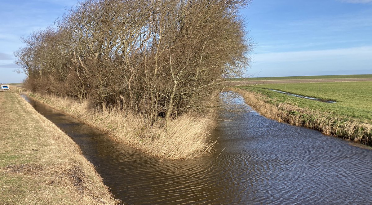 SilvanHoep's tweet photo. Schitterende dag met een mooie afsluiting https://t.co/rVcWJqbTYT