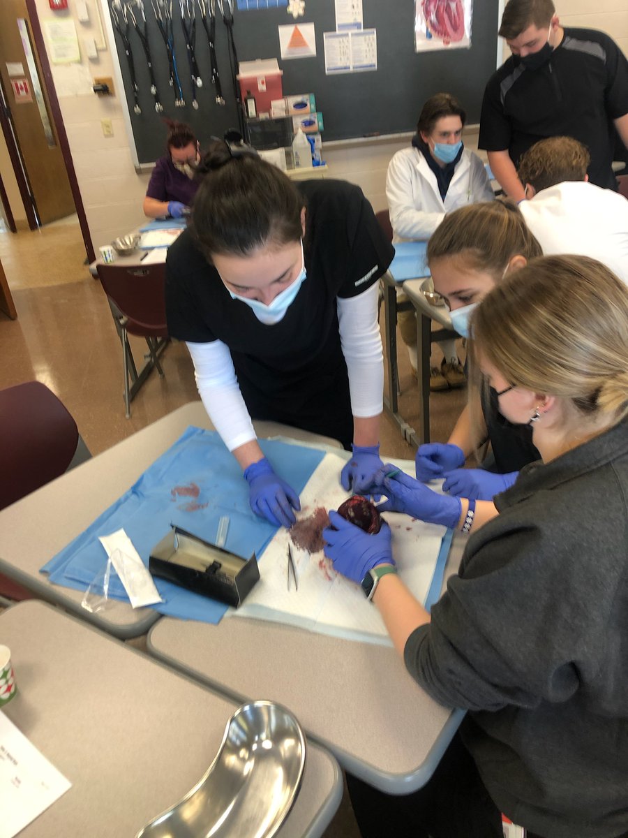 JeffLewBOCES's tweet photo. Learning more about the anatomy of the heart. Students in the New Vision and Medical Careers programs at #BohlenTech recently took part in a heart dissection lab, using deer and pig hearts, which very closely resemble the human heart. #BOCESConnects #pursuingexcellence #boces https://t.co/0jORxM0f7L
