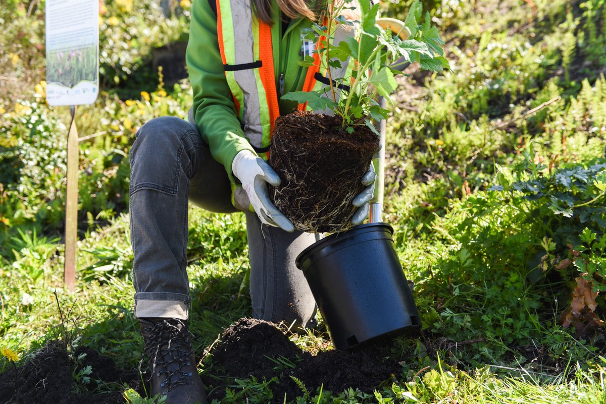 We care deeply about the planet and creating a business that gives back to nature. That’s why we’re happy to share that we’re partnering with @onetreeplanted to plant a tree for every Mini-Garden sold. #sustainability #eco #startup #Olten #Switzerland #yesinspires #trees