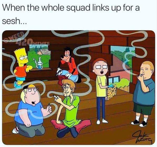 TripyLiLhippy's tweet image. #Stonerfam ♡ #squadvibes