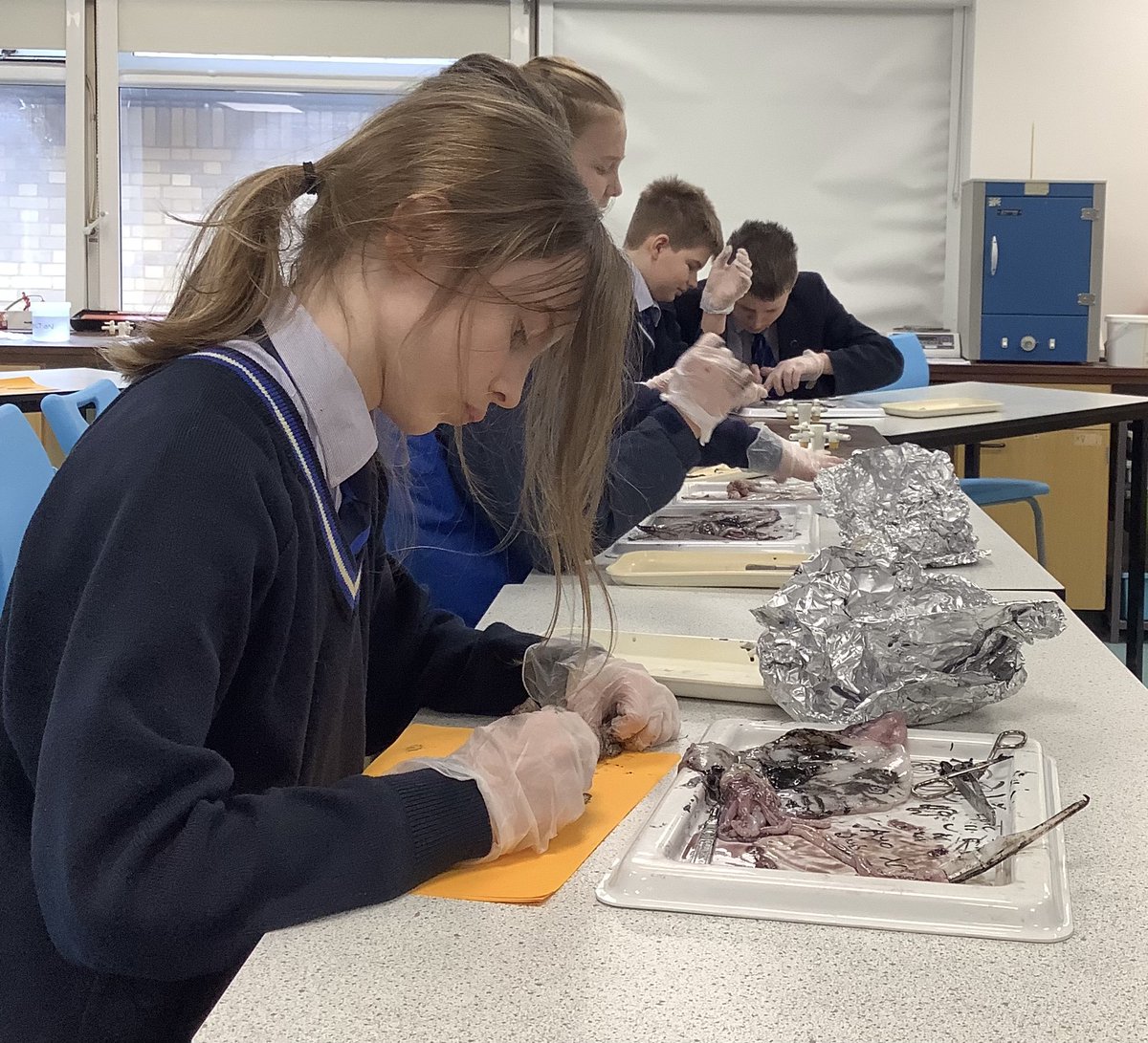 Dunottar Science tweet media