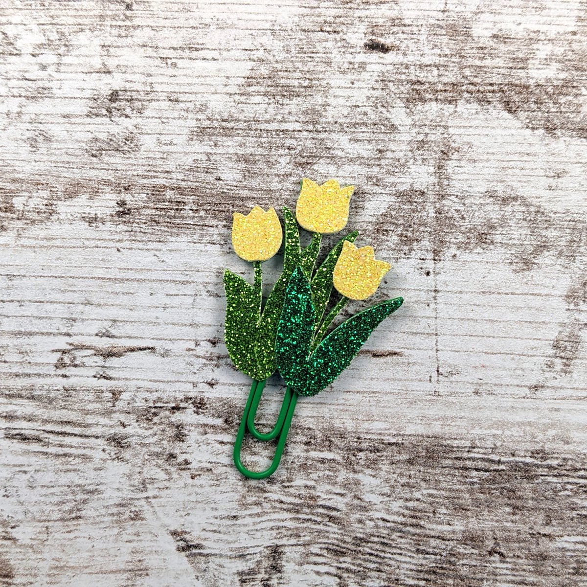 I cannot wait for tulips to start popping up! They are so lovely! 

#flowers #spring #paperclips #plannerclips #thehappyplanner #erincondrenlifeplanner #runwithcraftscissors #tulips